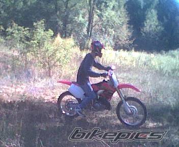2001 HONDA CR 250 | Picture 10189 motorcycle photo