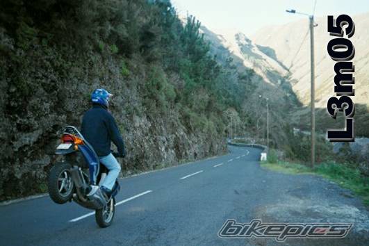 2001 HONDA X8R X | Picture 101896 motorcycle photo
