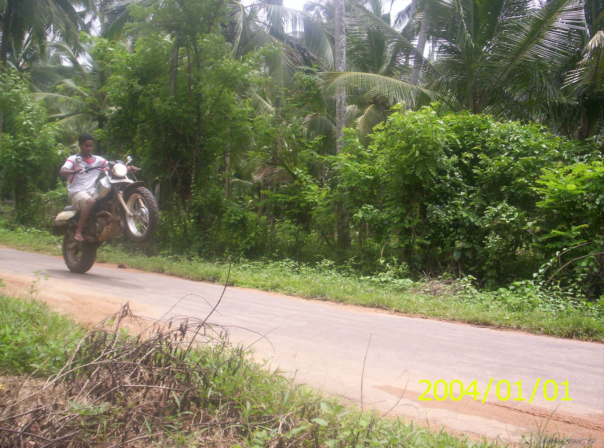 2000 YAMAHA TW 200 | Picture 1019080 motorcycle photo