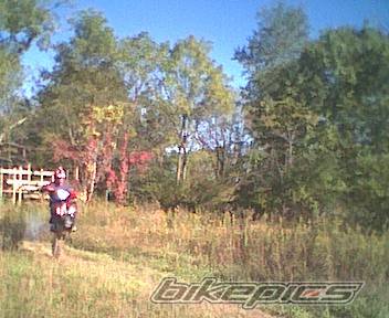 2001 HONDA CR 250 | Picture 10191 motorcycle photo