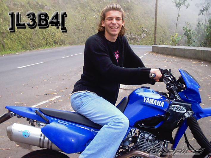 2003 YAMAHA XT 600 | Picture 101912 motorcycle photo