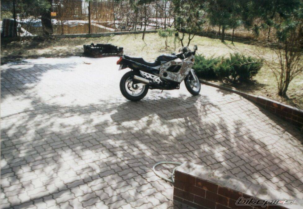 1989 SUZUKI GSX 750F | Picture 101915 motorcycle photo