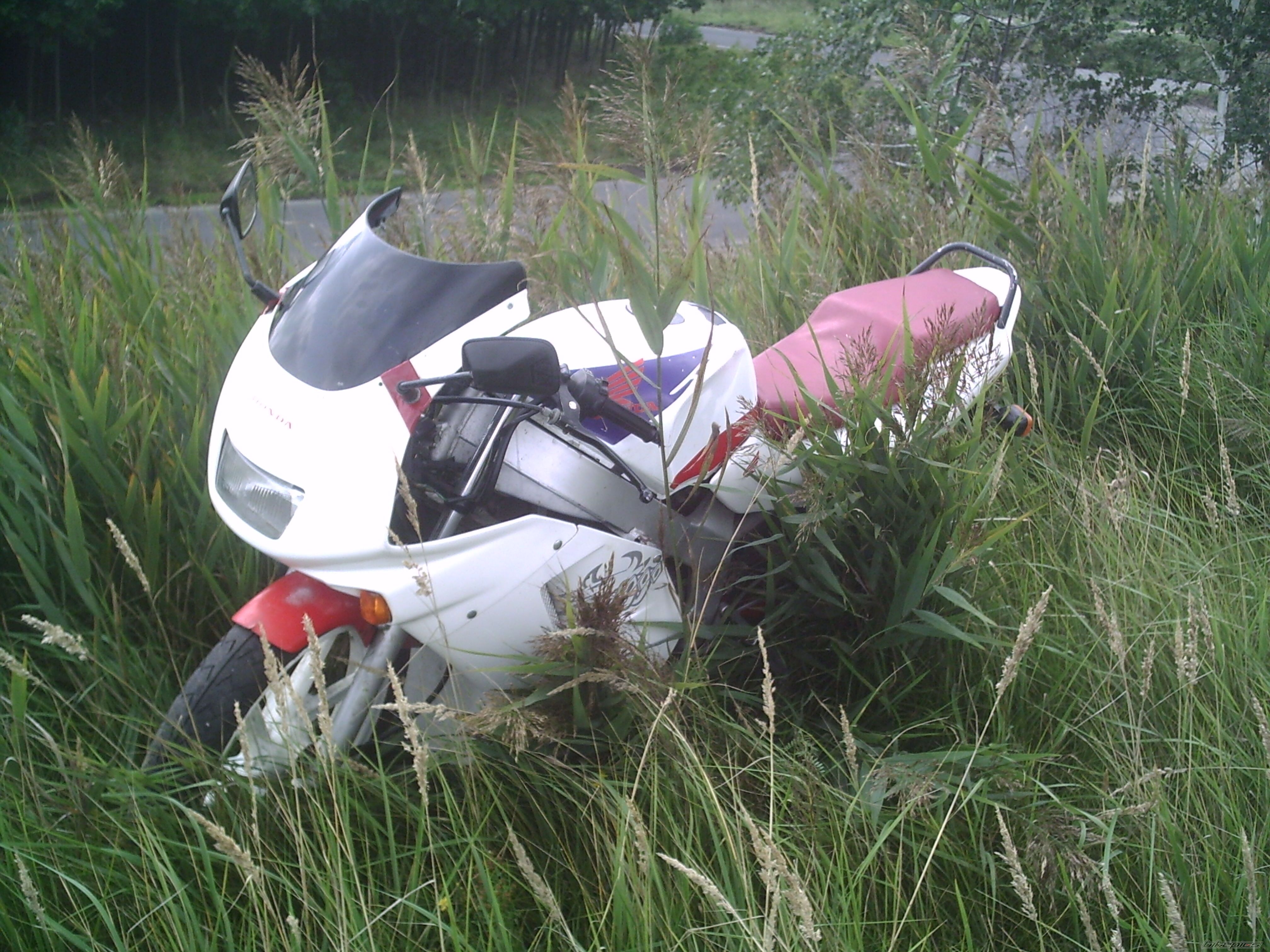1994 HONDA NS1 80 | Picture 1019406 motorcycle photo