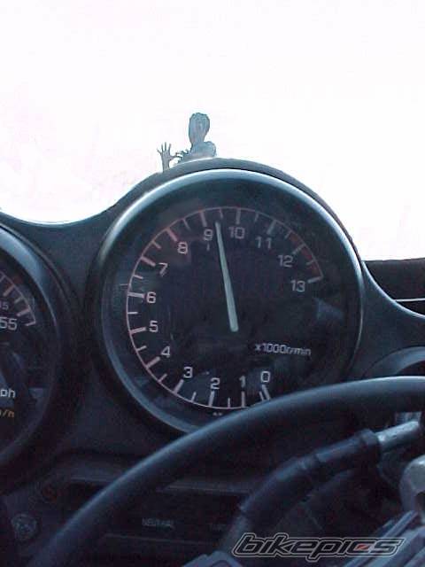1989 YAMAHA FZR 600 | Picture 10195 motorcycle photo