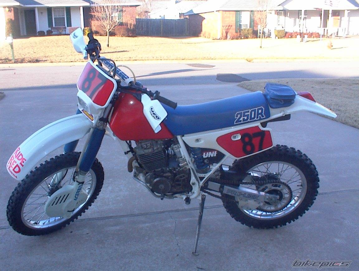 1987 HONDA XR 250 | Picture 101975 motorcycle photo