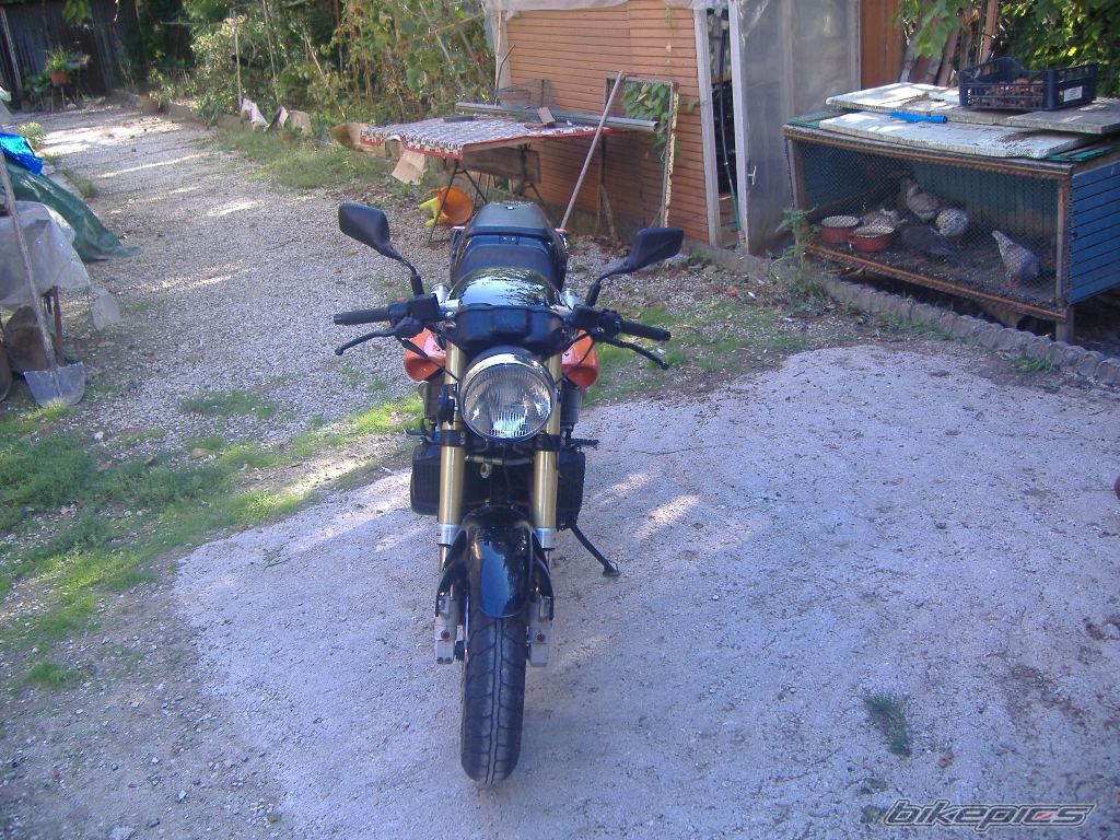 1999 LAVERDA 668 GHOST STRIKE | Picture 1019832 motorcycle photo