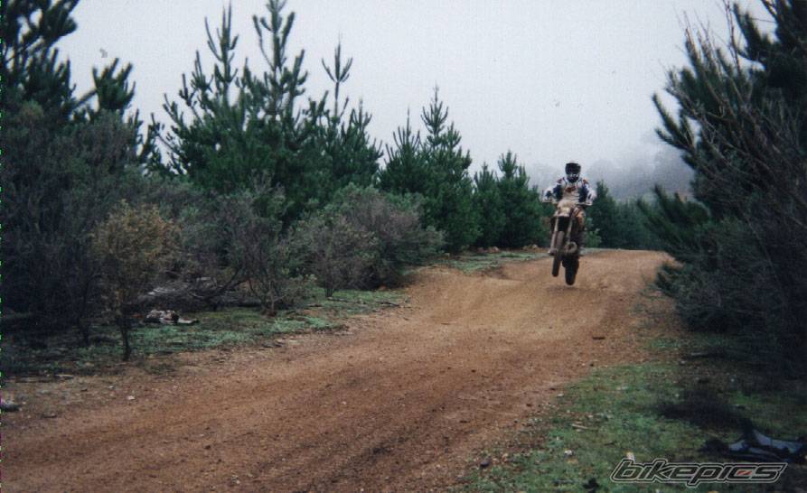 2001 KTM 300 EXC | Picture 101984 motorcycle photo