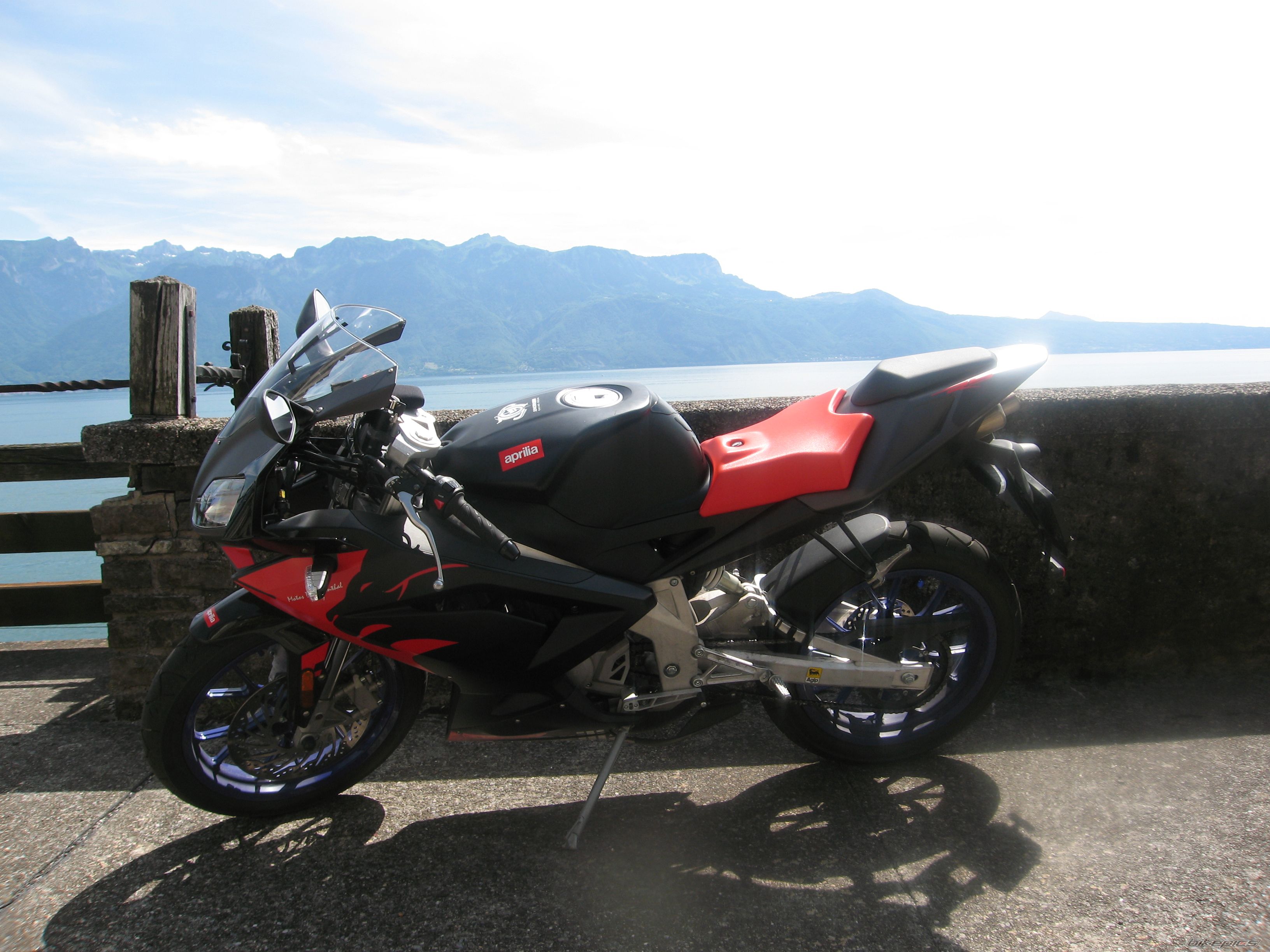2006 APRILIA RS 50 | Picture 1019986 motorcycle photo