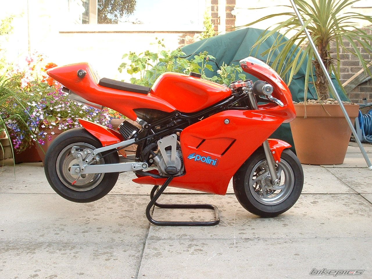 2005 DM MINIBIKE | Picture 1020039 motorcycle photo