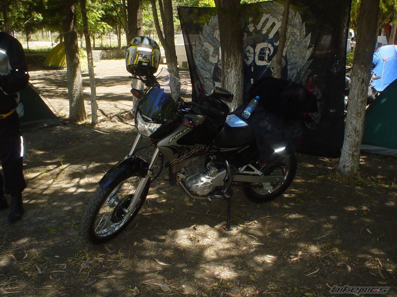 2006 HONDA NX 4 FALCON | Picture 1020865 motorcycle photo