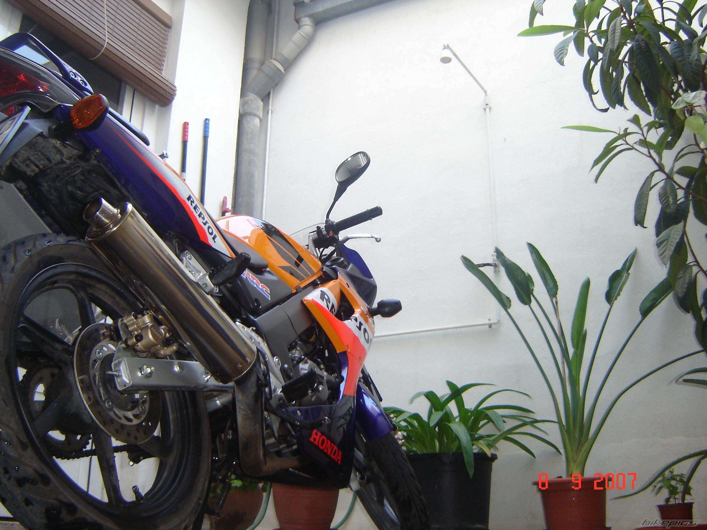 2008 HONDA CBR 125 | Picture 1021111 motorcycle photo