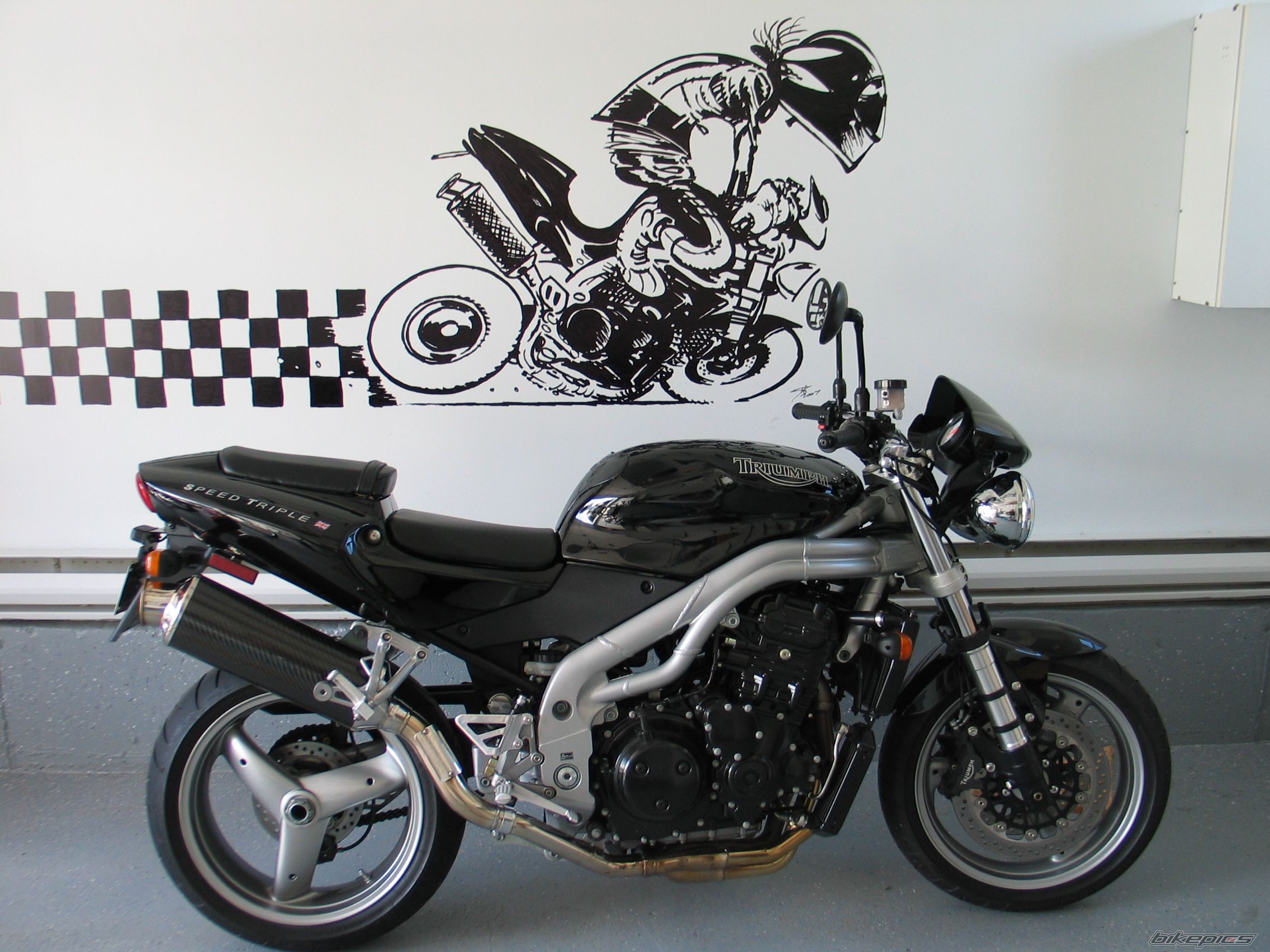 2002 TRIUMPH SPEED TRIPLE | Picture 1021514 motorcycle photo