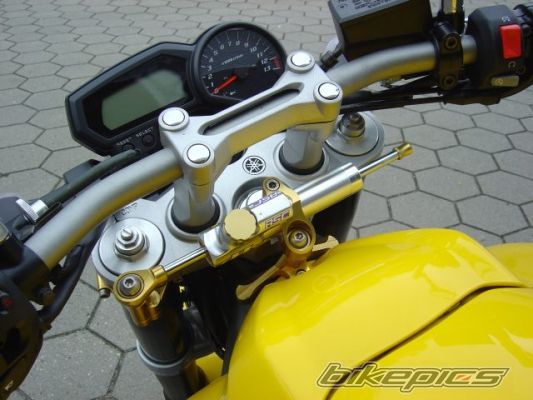 2007 YAMAHA FZ 1N | Picture 1021658 motorcycle photo