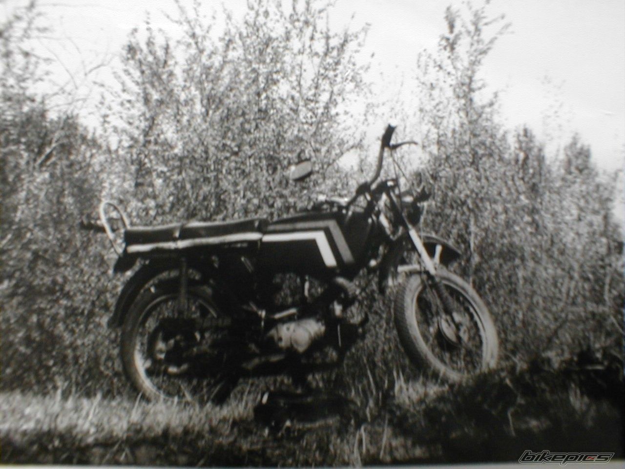 1977 JAWA 50 | Picture 1022340 motorcycle photo