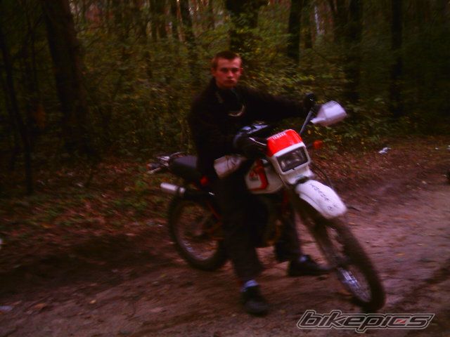 1986 YAMAHA DT 50 | Picture 1022398 motorcycle photo
