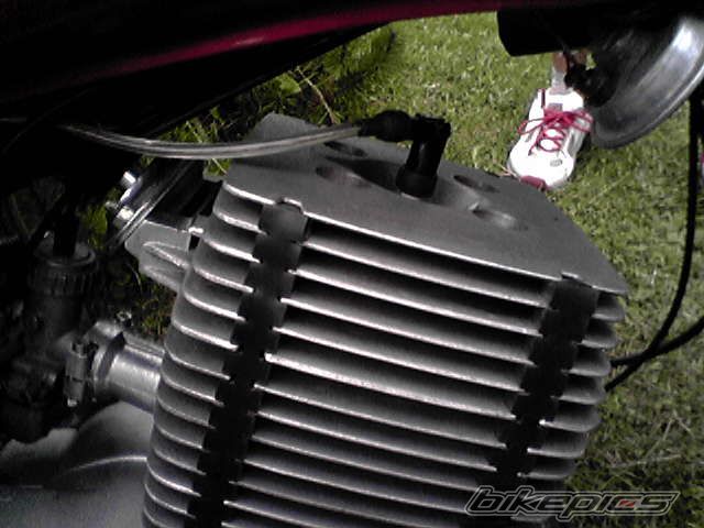 1990 MZ ETZ 251 | Picture 1022625 motorcycle photo