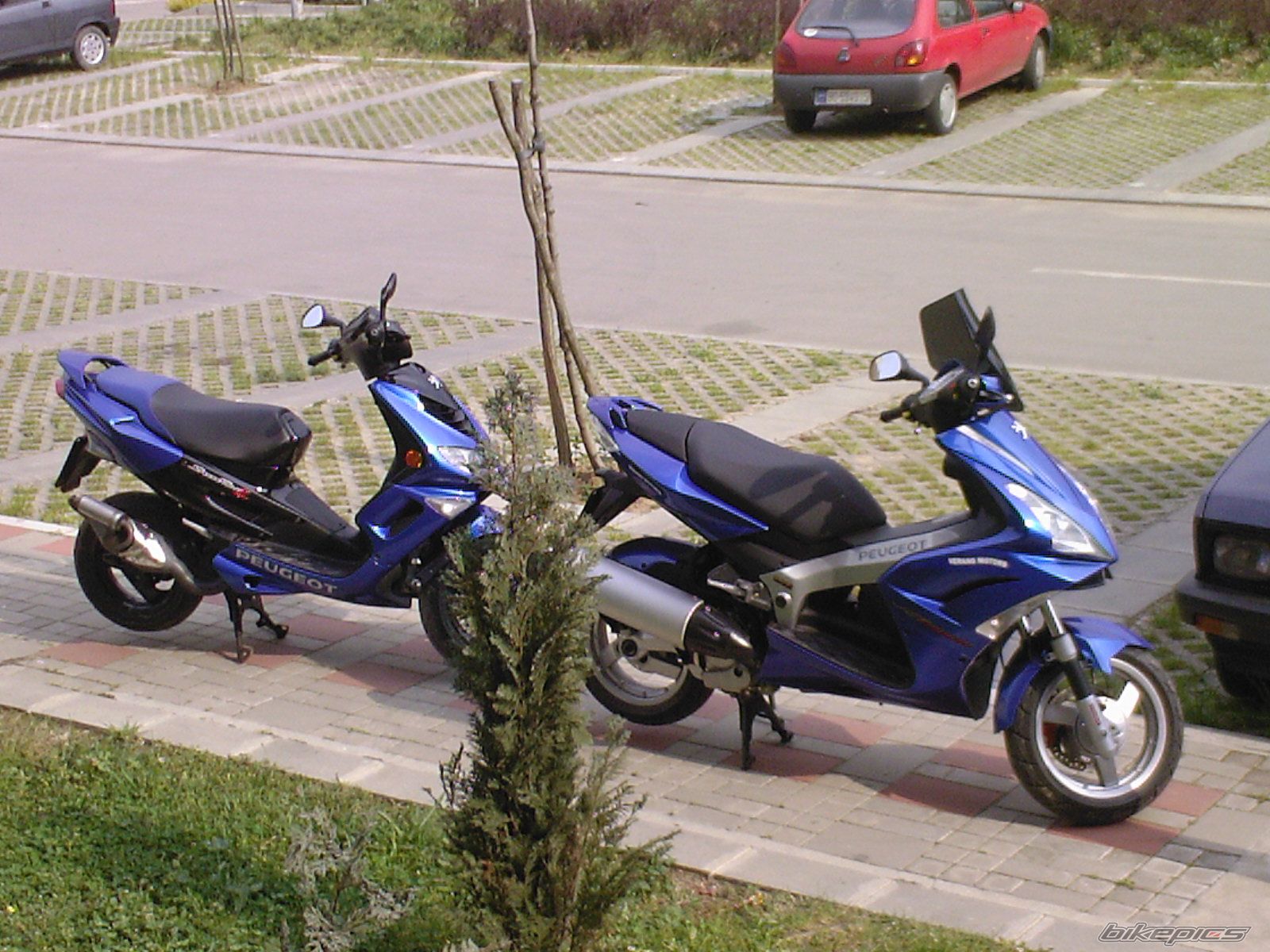 2007 PEUGEOT JET FORCE | Picture 1022640 motorcycle photo