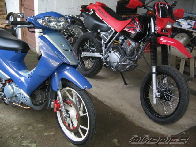    | Picture 1022712 motorcycle photo