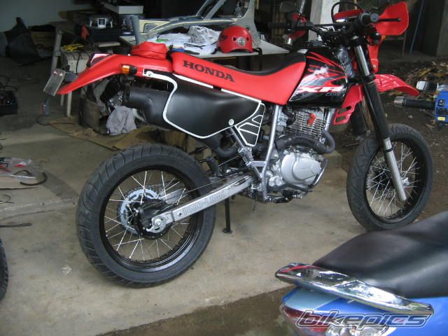 2007 HONDA XR 200 | Picture 1022730 motorcycle photo