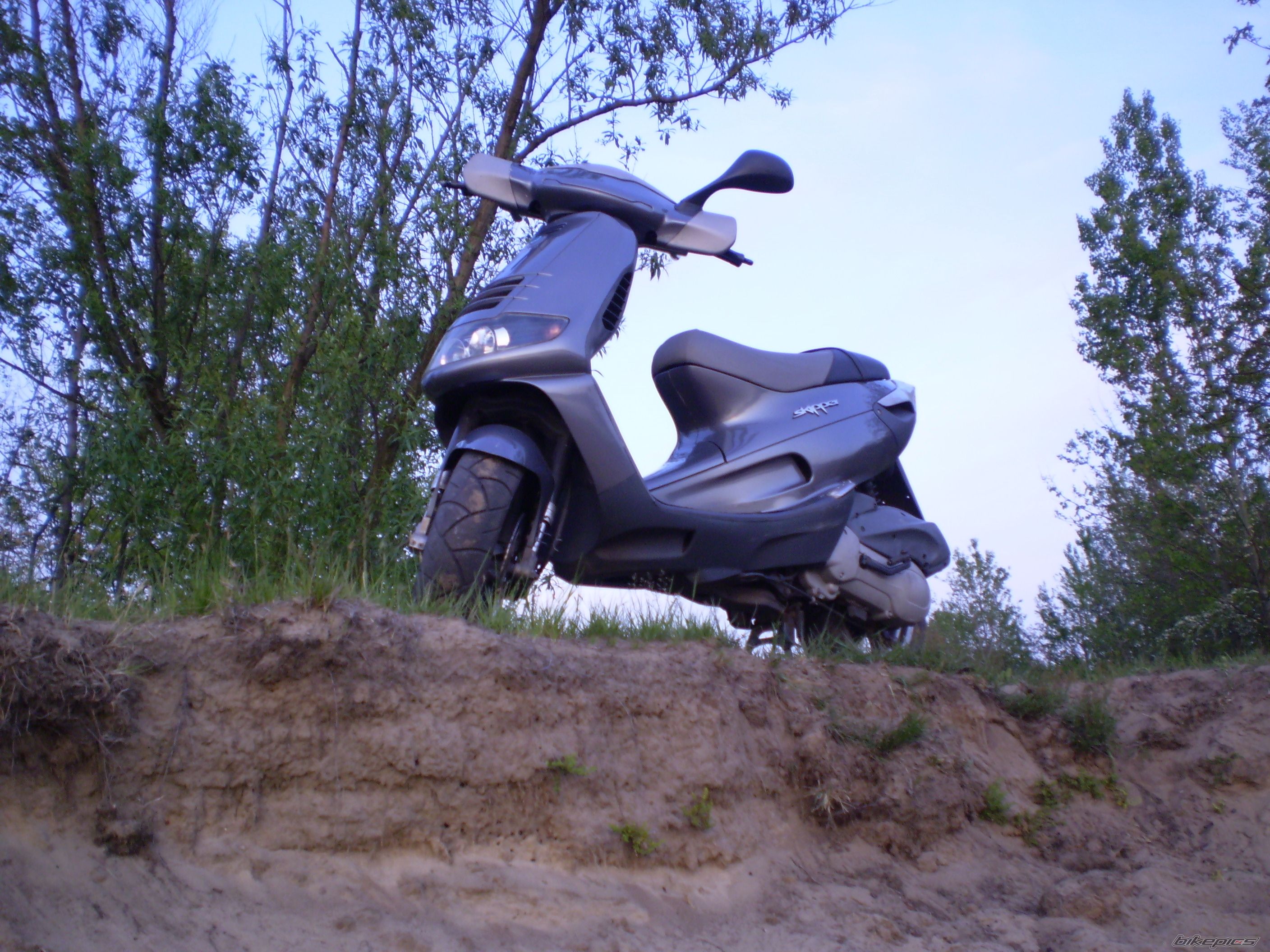 1998 PIAGGIO SKIPPER 125 | Picture 1023141 motorcycle photo