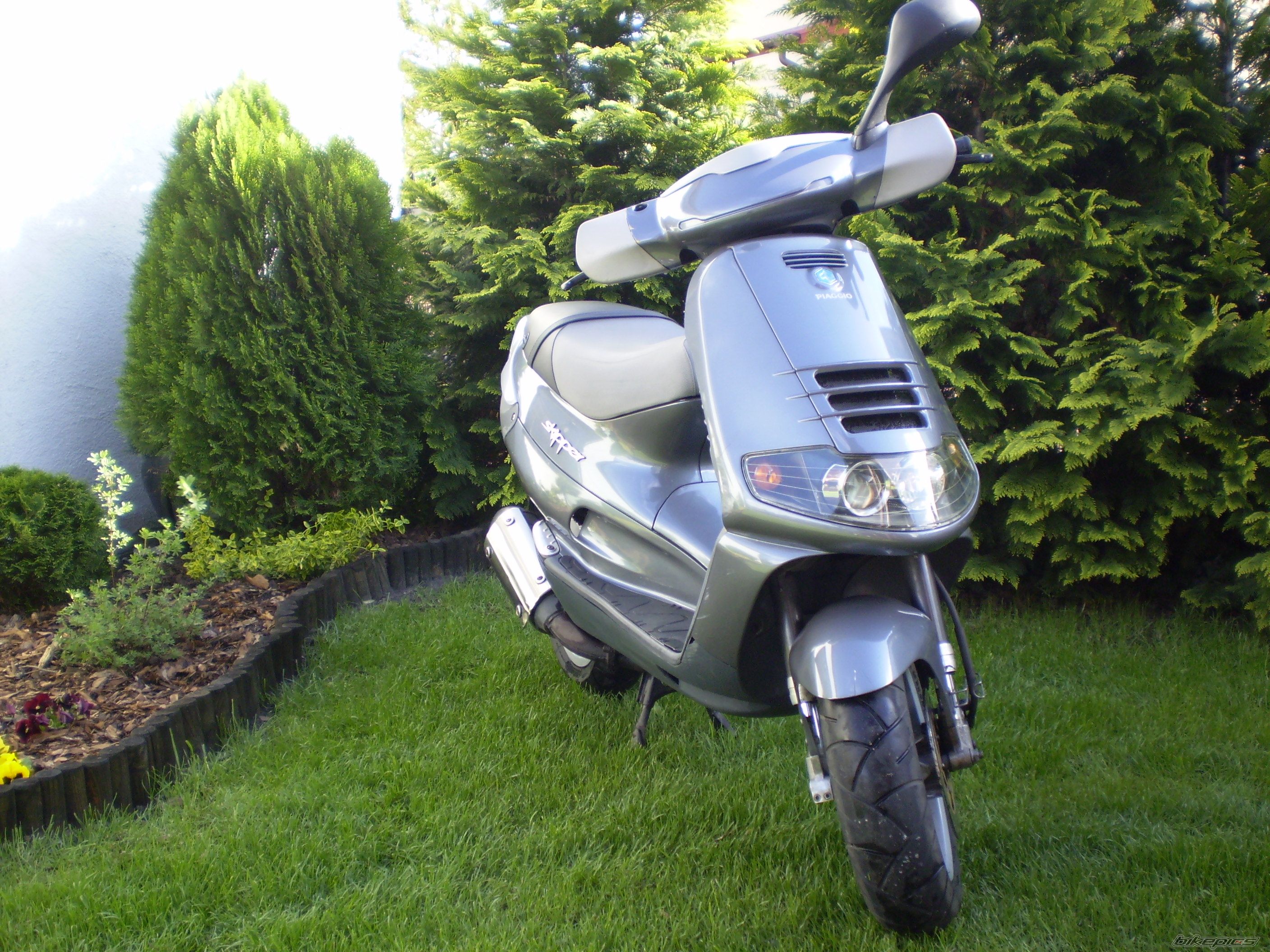 1998 PIAGGIO SKIPPER 125 | Picture 1023149 motorcycle photo