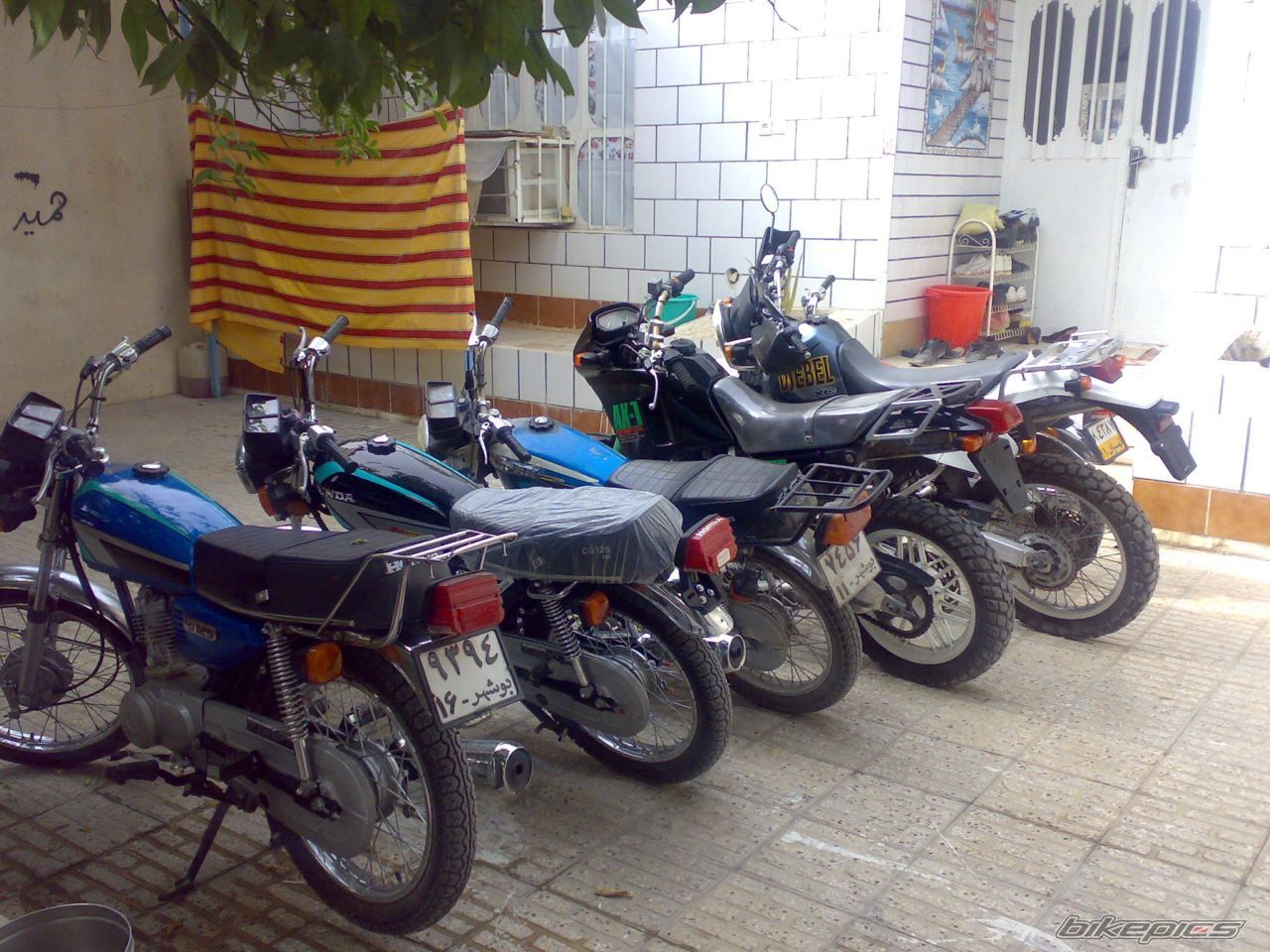 1998 HONDA AX 1 250 | Picture 1023560 motorcycle photo