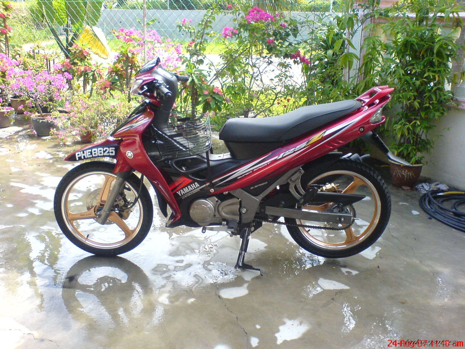 2007 YAMAHA Z 125 | Picture 1024218 motorcycle photo