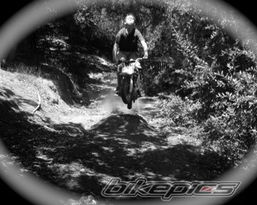 2006 HONDA CRF 50 | Picture 1024347 motorcycle photo