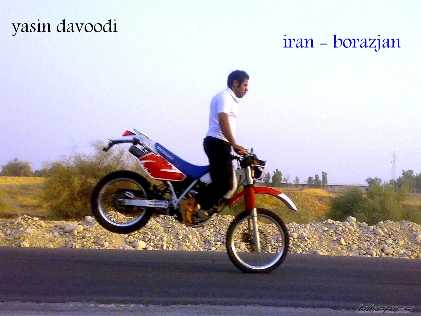 2000 SUZUKI DR 250 | Picture 1024834 motorcycle photo