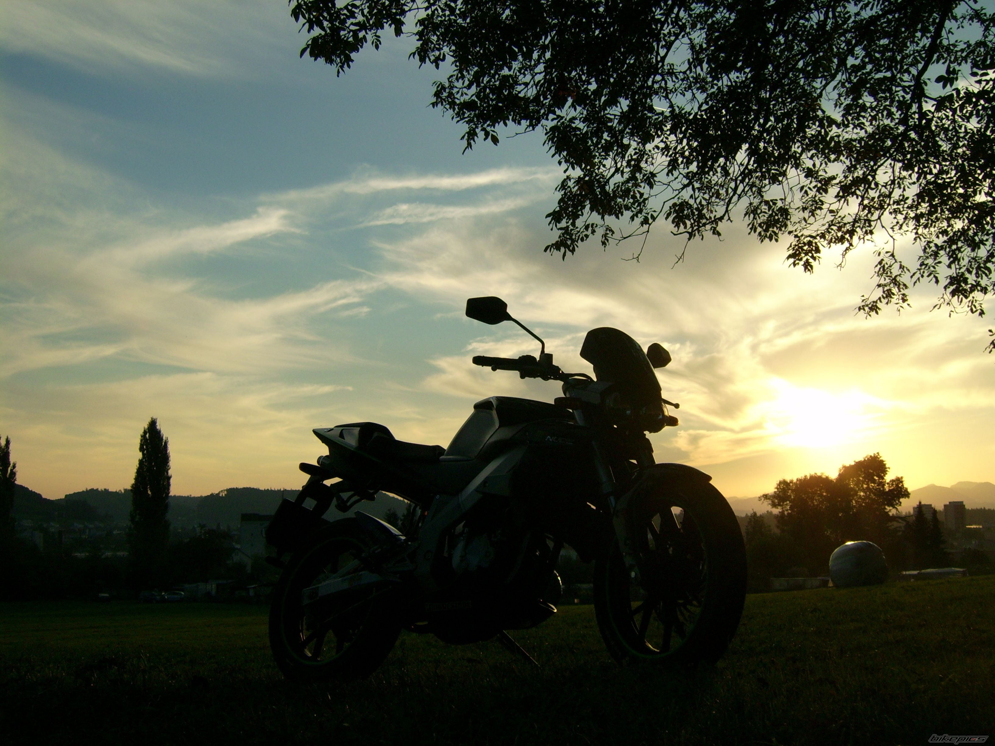 2006 DERBI GPR NUDE | Picture 1025101 motorcycle photo