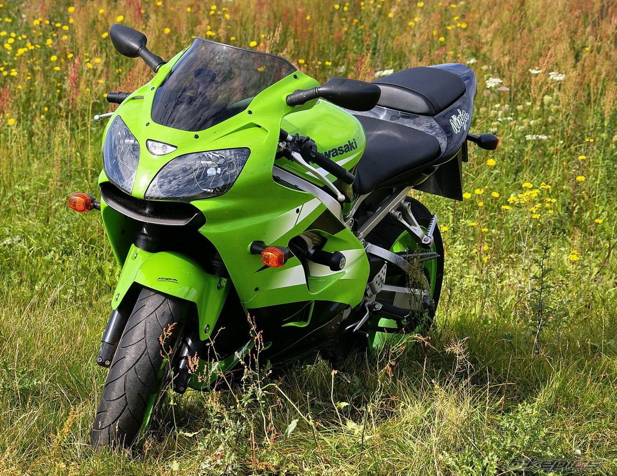 2002 KAWASAKI ZX 9R | Picture 1025321 motorcycle photo