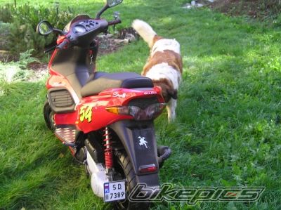 2005 GILERA RUNNER 50 | Picture 1025352 motorcycle photo