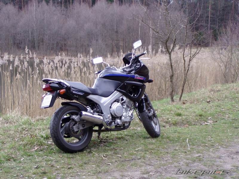 1996 YAMAHA TDM 850 | Picture 1025955 motorcycle photo