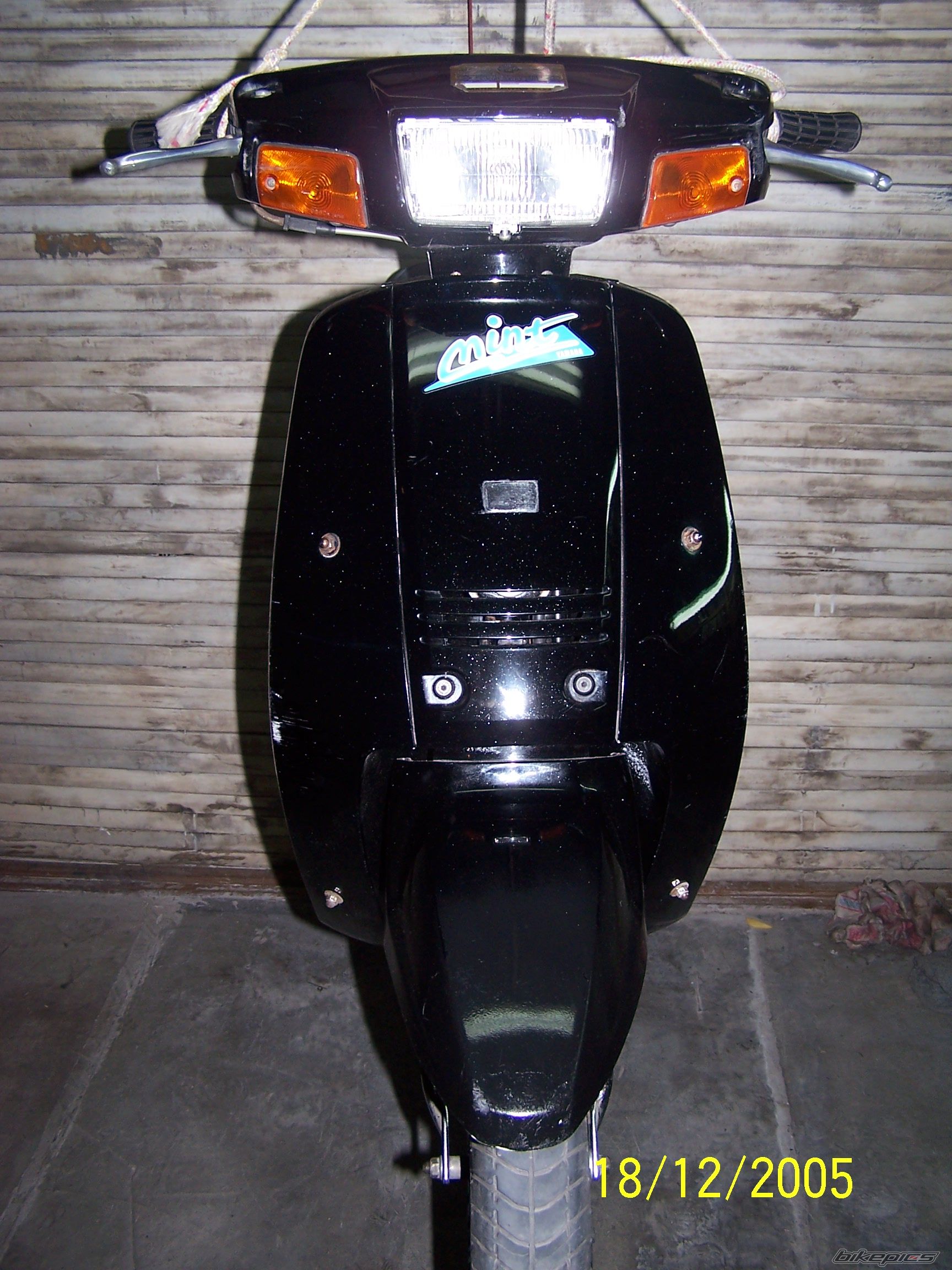 1993 YAMAHA MINT 50 | Picture 1026219 motorcycle photo