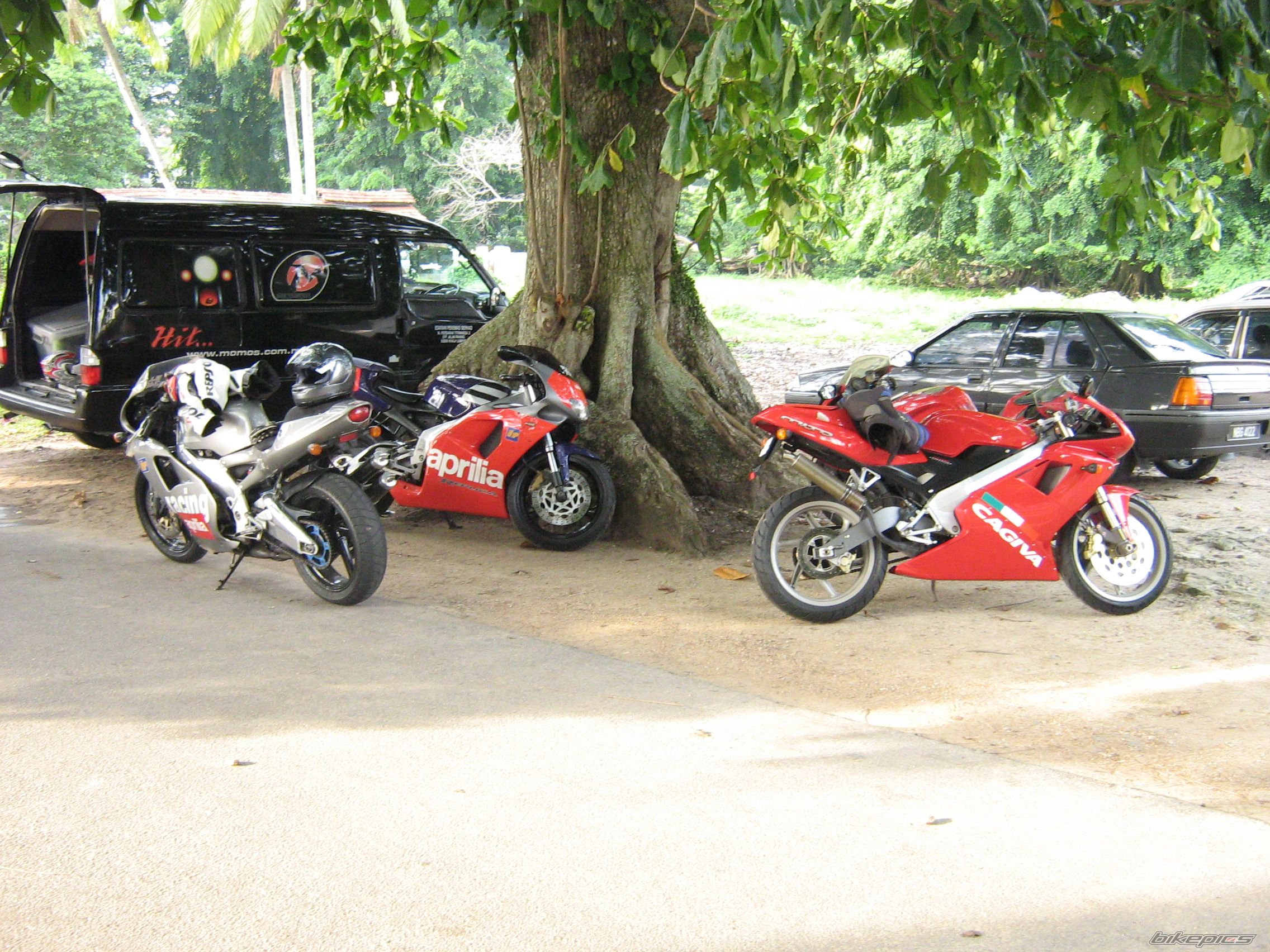 2007 APRILIA RS 250 | Picture 1026350 motorcycle photo
