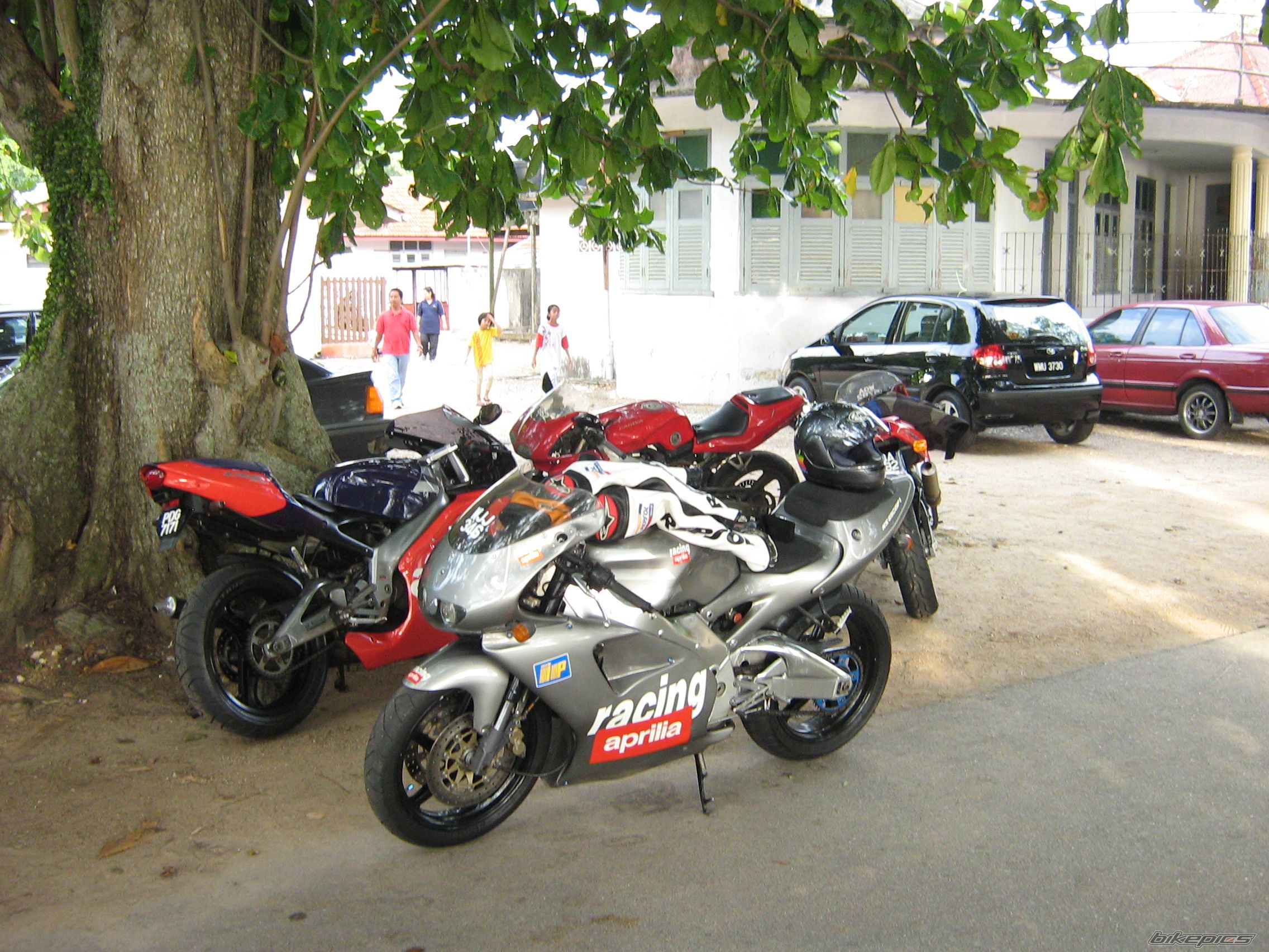 2007 APRILIA RS 250 | Picture 1026352 motorcycle photo