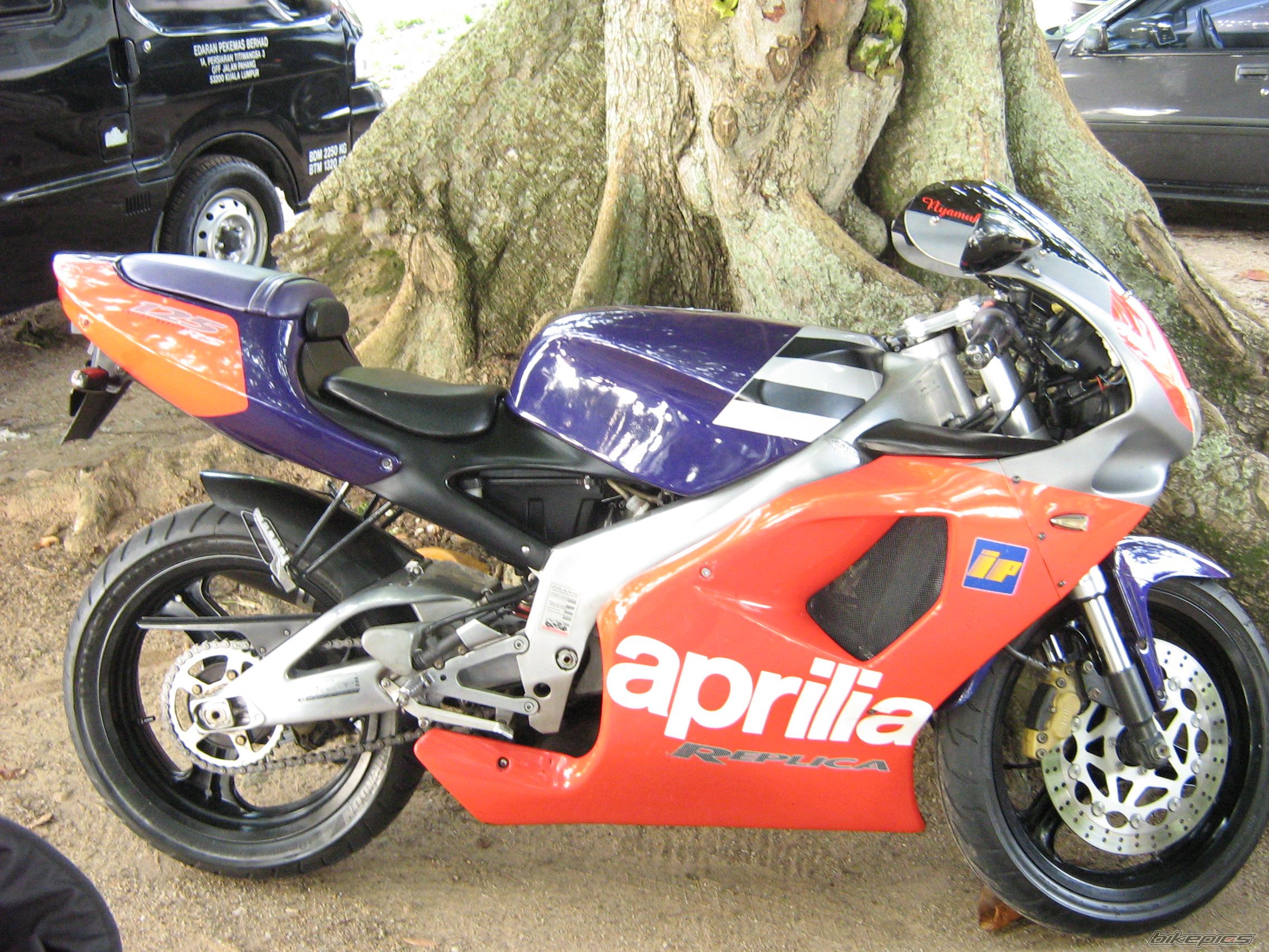 2007 APRILIA RS 250 | Picture 1026357 motorcycle photo