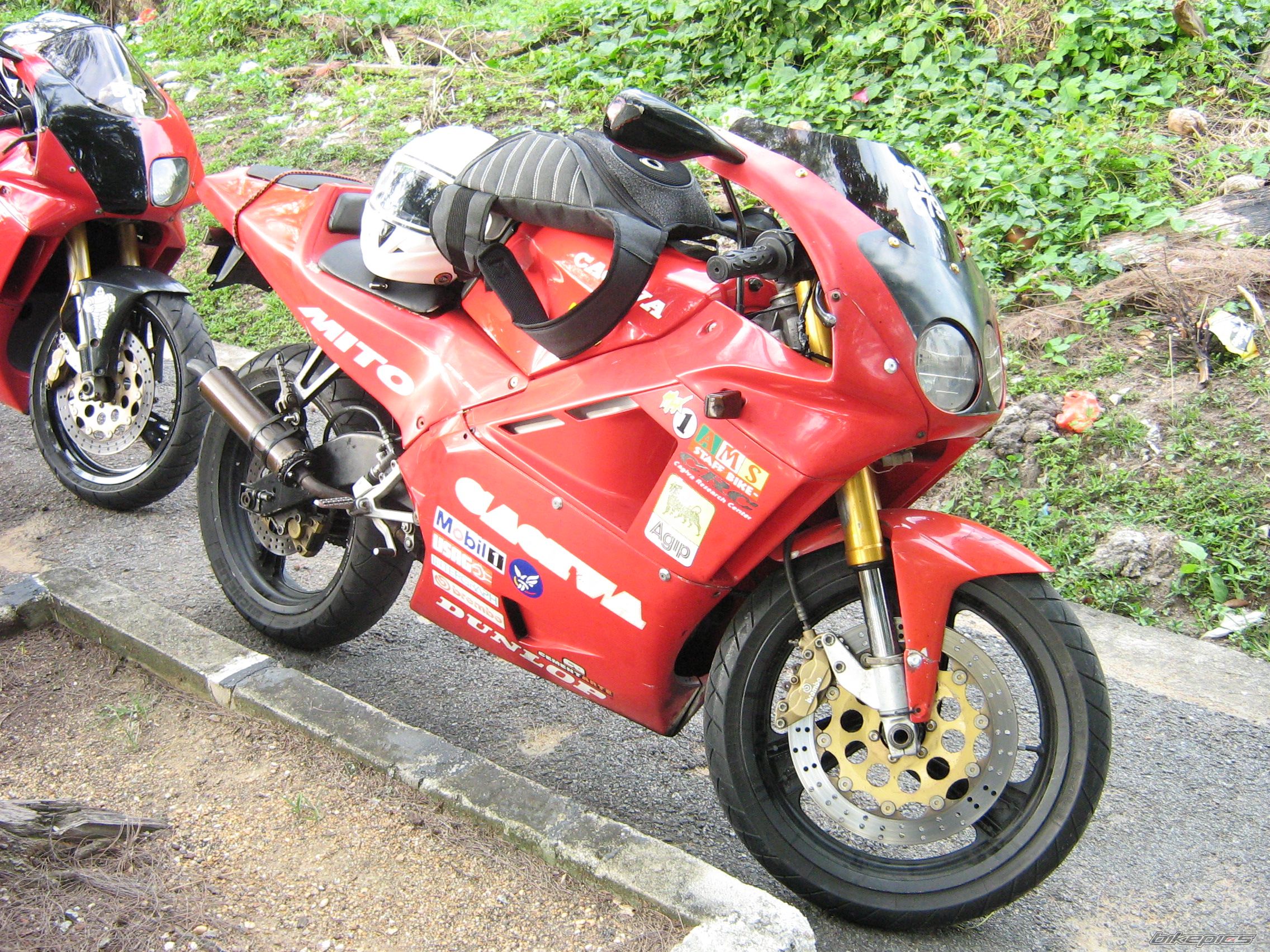 2007 APRILIA RS 250 | Picture 1026363 motorcycle photo