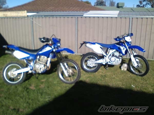 2007 YAMAHA WR450 | Picture 1026450 motorcycle photo
