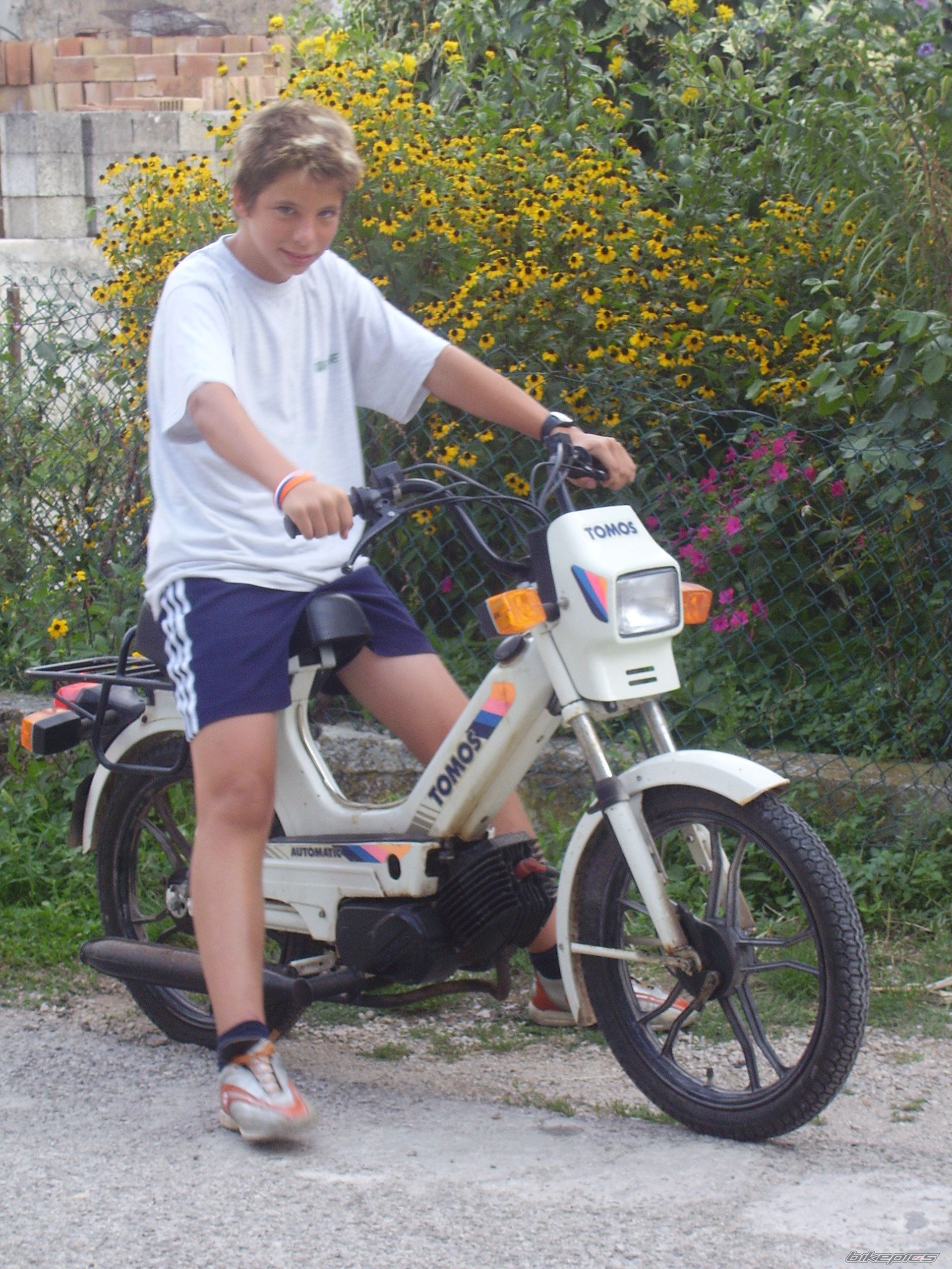1993 TOMOS AUTOMATIK | Picture 1026473 motorcycle photo