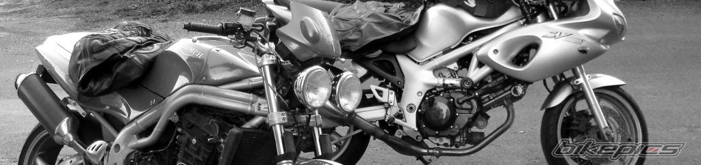 2001 TRIUMPH SPEED TRIPLE | Picture 1026591 motorcycle photo