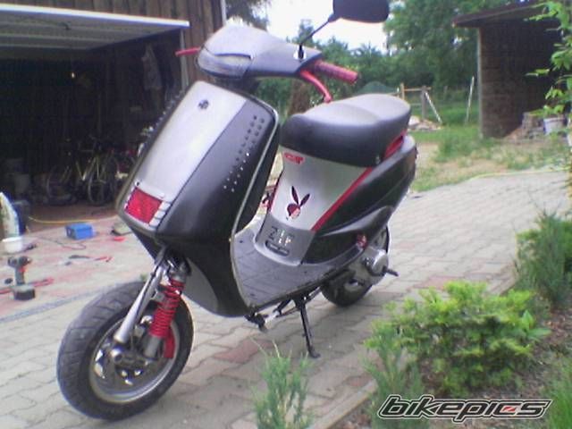 1998 PIAGGIO ZIP | Picture 1026843 motorcycle photo