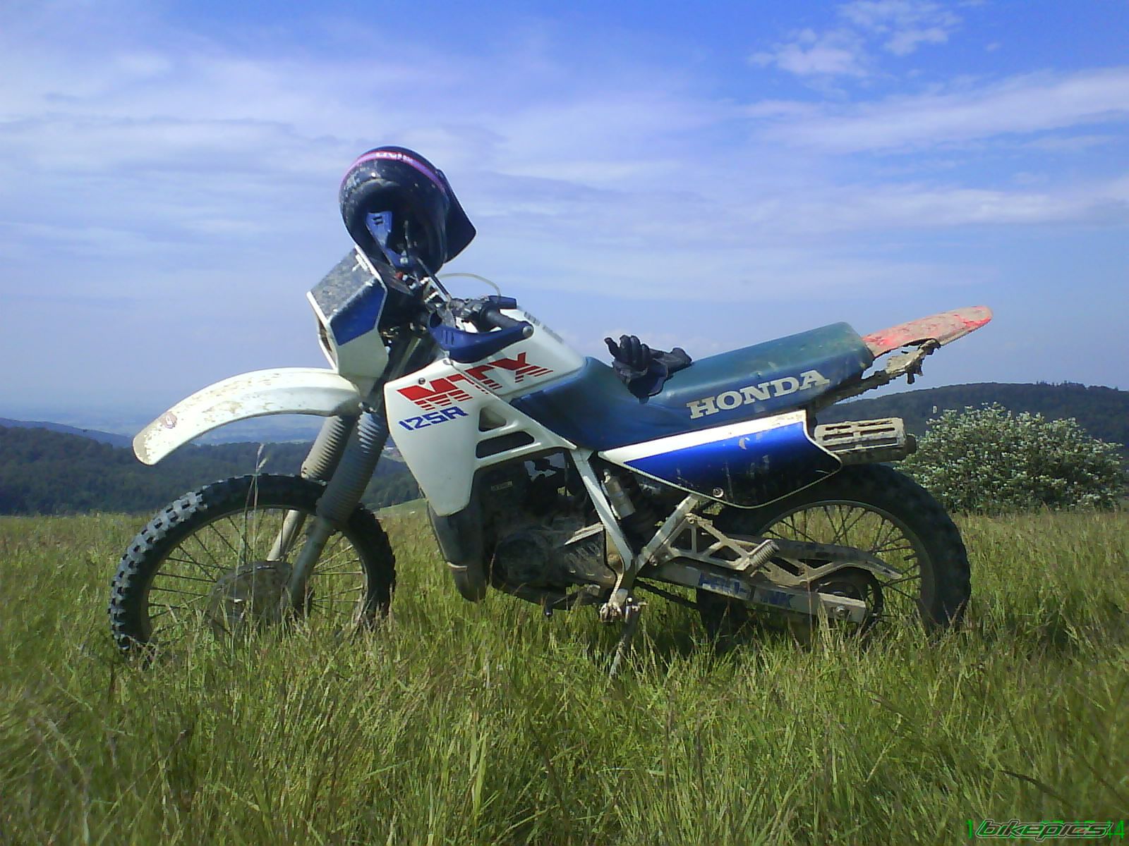 1988 HONDA MTX 125 | Picture 1026971 motorcycle photo