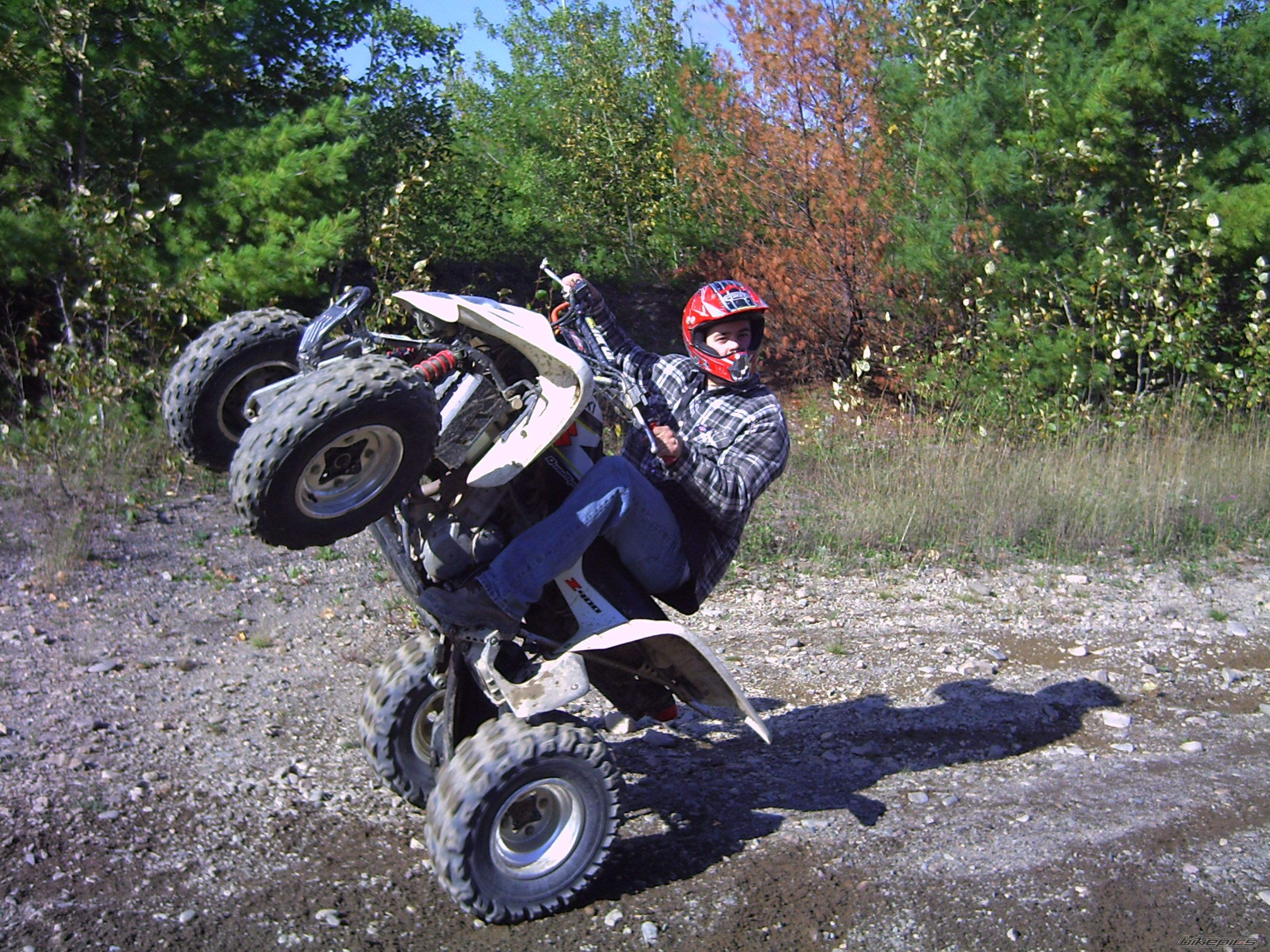2003 SUZUKI LTZ 400 | Picture 1027201 motorcycle photo