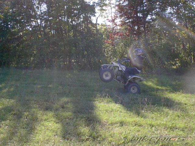1998 YAMAHA BLASTER | Picture 1027327 motorcycle photo