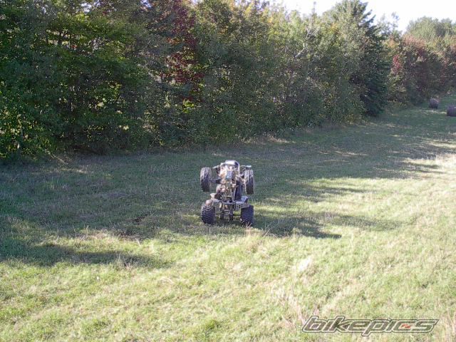 1998 YAMAHA BLASTER | Picture 1027329 motorcycle photo