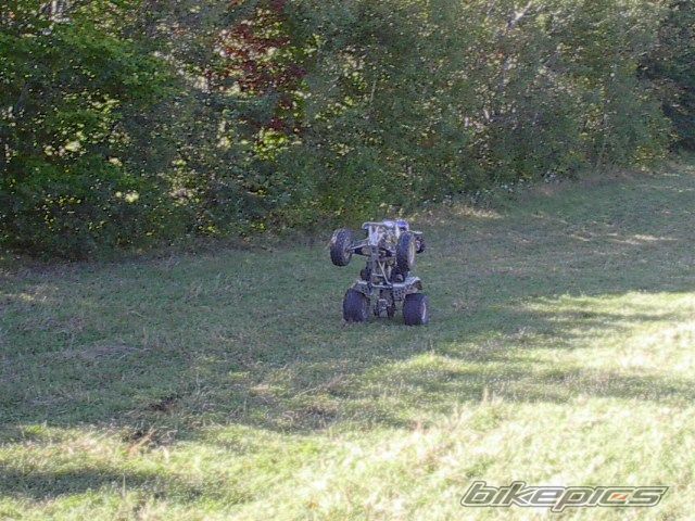 1998 YAMAHA BLASTER | Picture 1027330 motorcycle photo