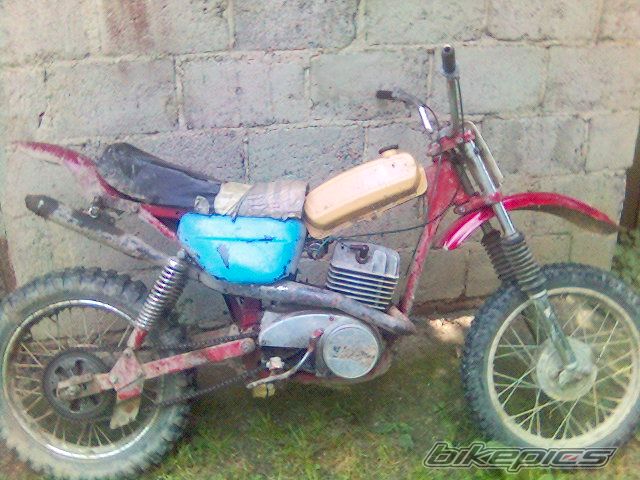 1989 MZ MZ ETZ 250 ENDURO | Picture 1027497 motorcycle photo