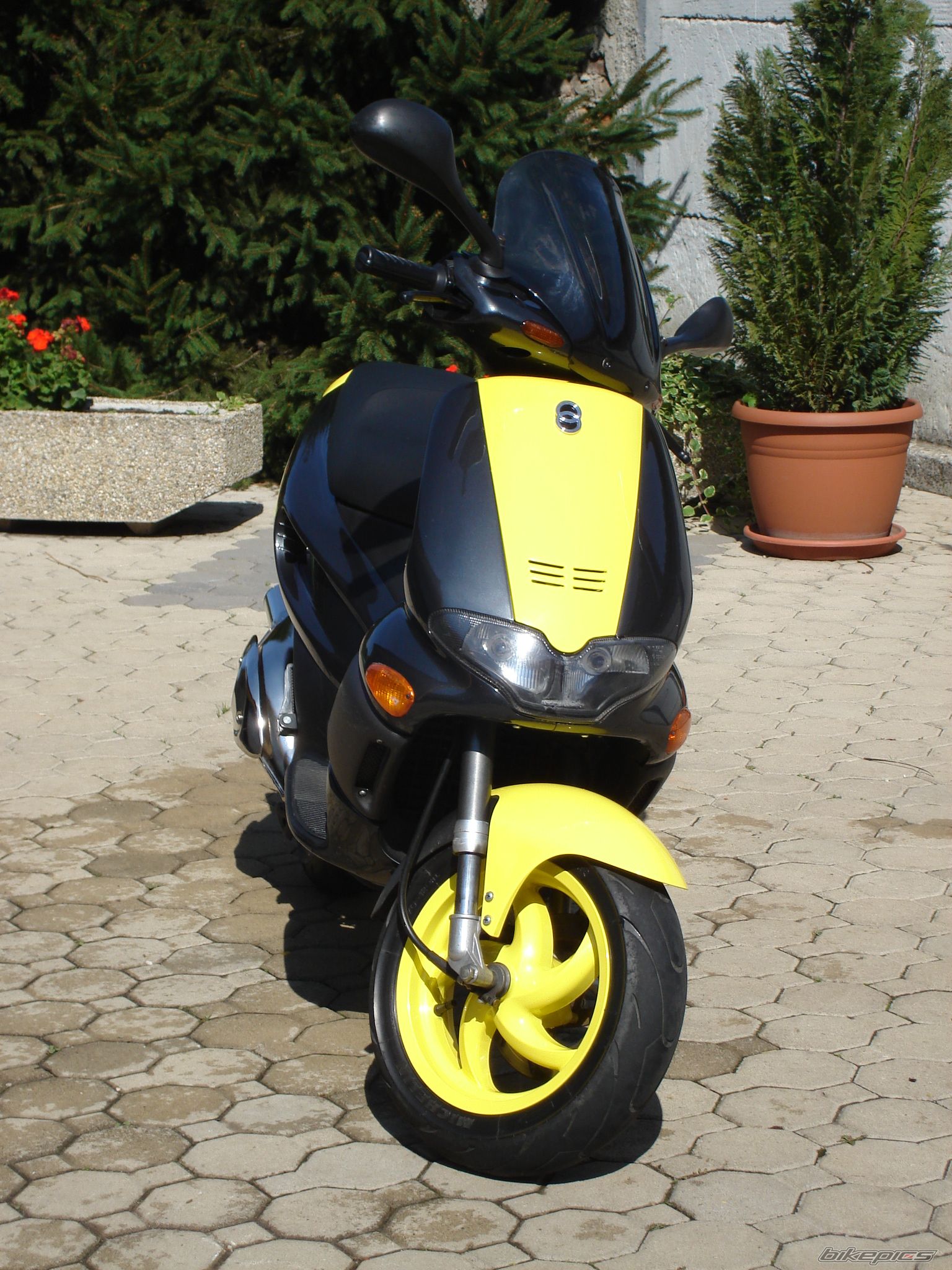 1998 GILERA RUNNER 50 | Picture 1027520 motorcycle photo