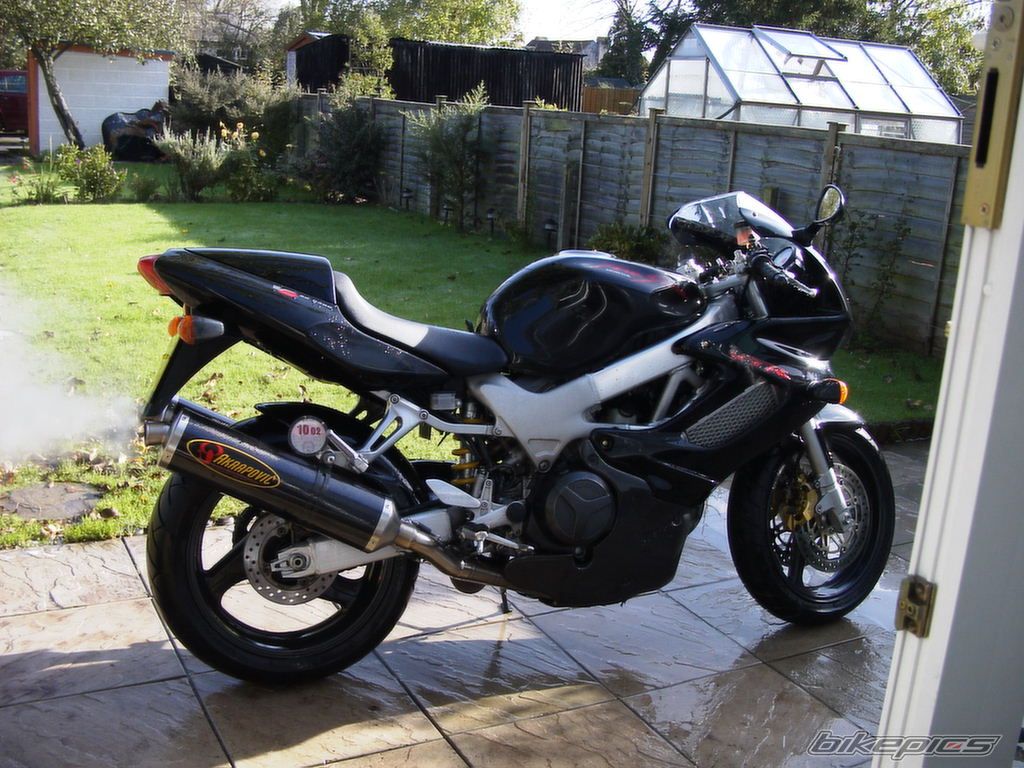1999 HONDA VTR 1000 | Picture 1027564 motorcycle photo